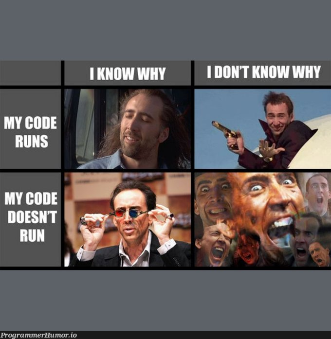 the four Nicolas stages....! | code-memes | ProgrammerHumor.io