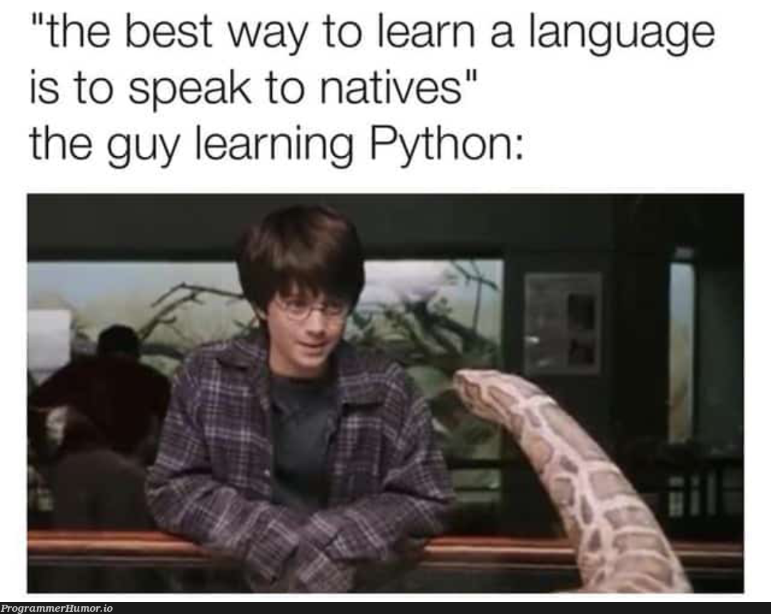 import magic as m | python-memes, language-memes | ProgrammerHumor.io