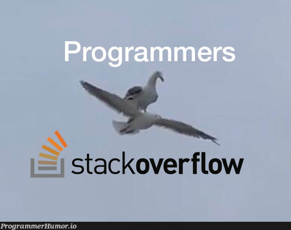 Don't know what I'd do without stackoverflow | stackoverflow-memes, stack-memes, overflow-memes | ProgrammerHumor.io