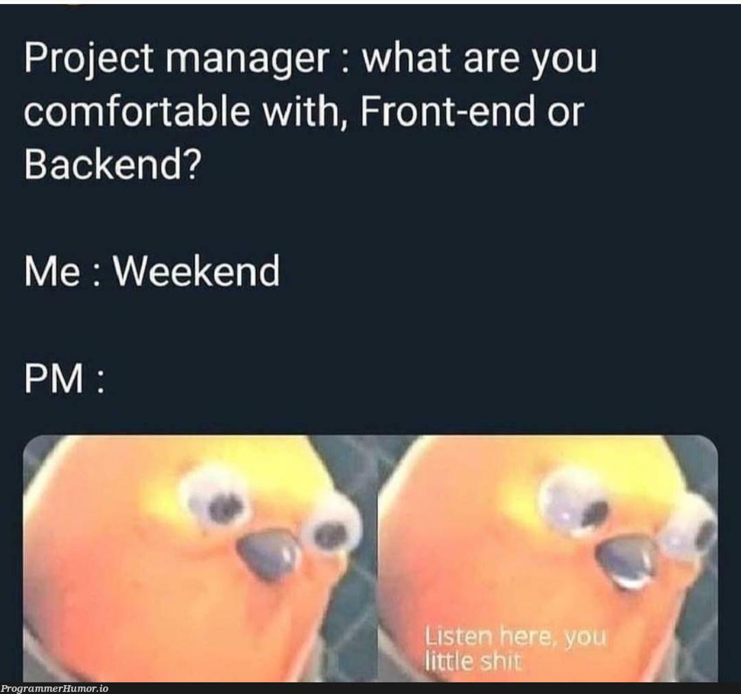 Project manager. | backend-memes, front-end-memes, manager-memes | ProgrammerHumor.io