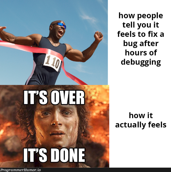 how people tell you it feels to fix a bug after hours of debugging | debugging-memes, bug-memes, debug-memes, fix-memes, IT-memes | ProgrammerHumor.io