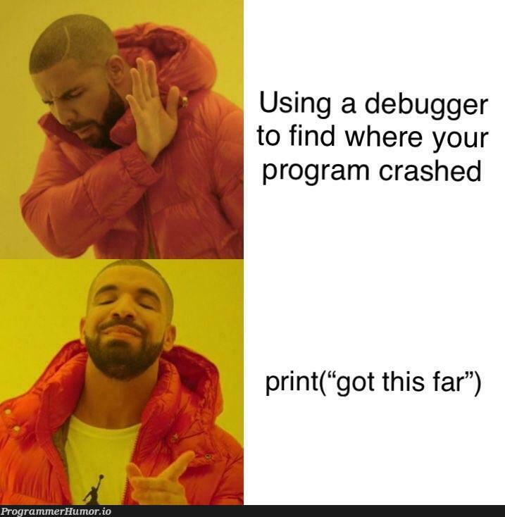 The most efficient way of debugging | program-memes, debugging-memes, bug-memes, debug-memes, debugger-memes, crash-memes | ProgrammerHumor.io