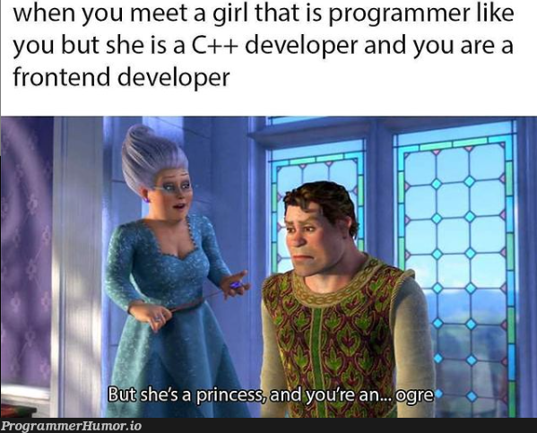 When you meet a girl | programmer-memes, developer-memes, program-memes, frontend-memes, c++-memes | ProgrammerHumor.io