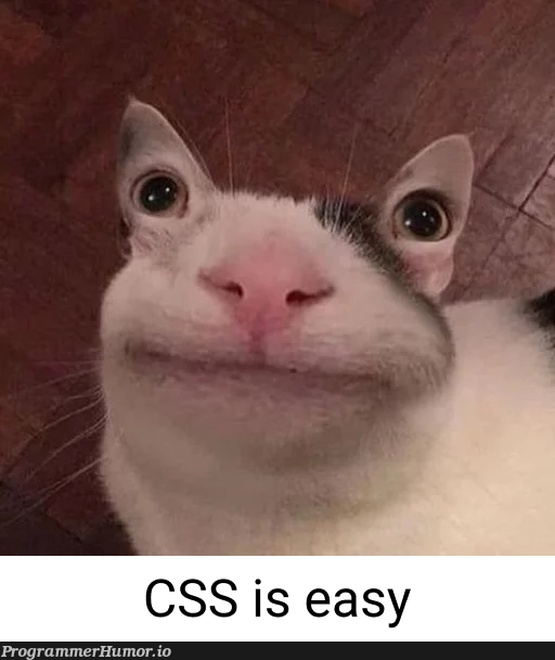 CSS is easy | css-memes, cs-memes | ProgrammerHumor.io