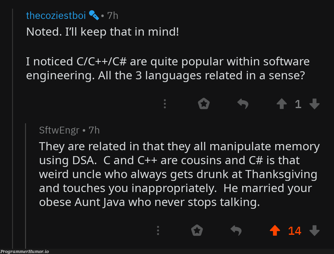 Felt like this belongs here | software-memes, java-memes, engineer-memes, software engineer-memes, engineering-memes, c++-memes, c-memes, c#-memes, language-memes | ProgrammerHumor.io