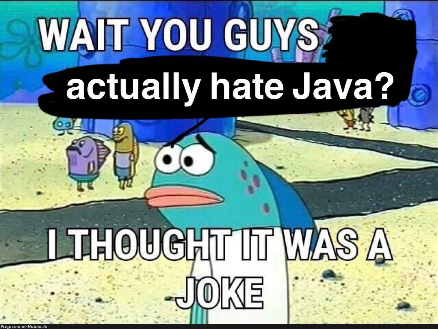 I think it’s pretty good tbh | java-memes | ProgrammerHumor.io