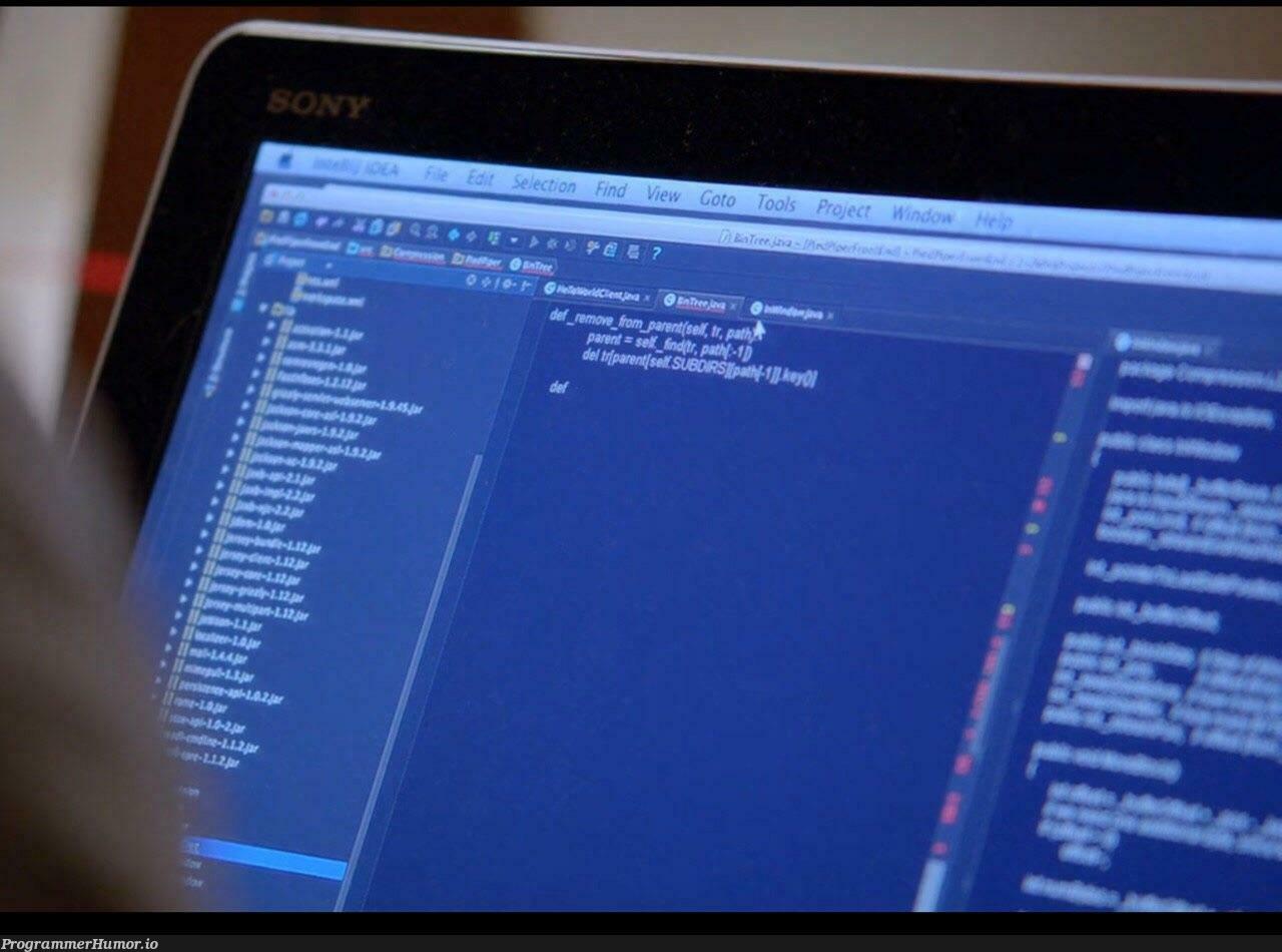 Sony running OS X, with Python code in a Java file. Silicon Valley HBO, S1. | code-memes, java-memes, python-memes | ProgrammerHumor.io