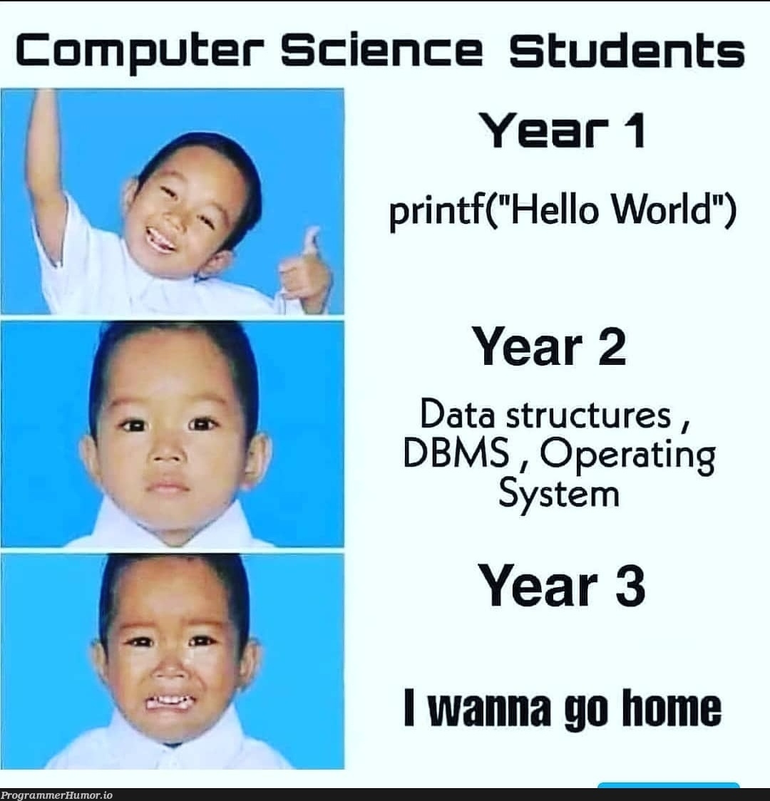 Printf("crying ") ; | computer-memes, computer science-memes, data structures-memes, data-memes | ProgrammerHumor.io