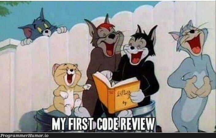 First code review | code-memes | ProgrammerHumor.io