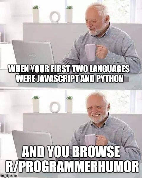 Why | ProgrammerHumor.io