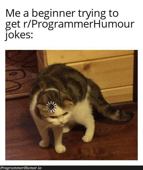 It gets worse when you see the comments | programmer-memes, program-memes, try-memes, IT-memes, comment-memes | ProgrammerHumor.io