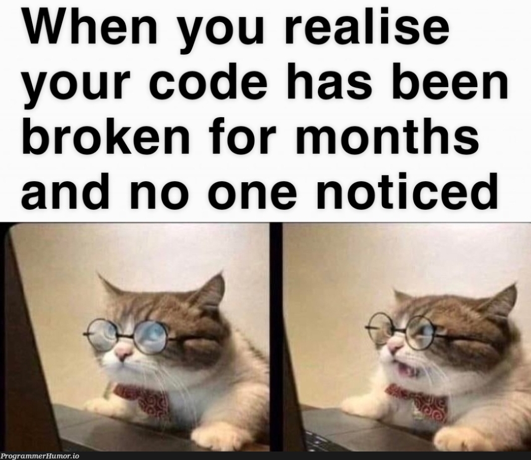 Do I tell someone? | code-memes | ProgrammerHumor.io