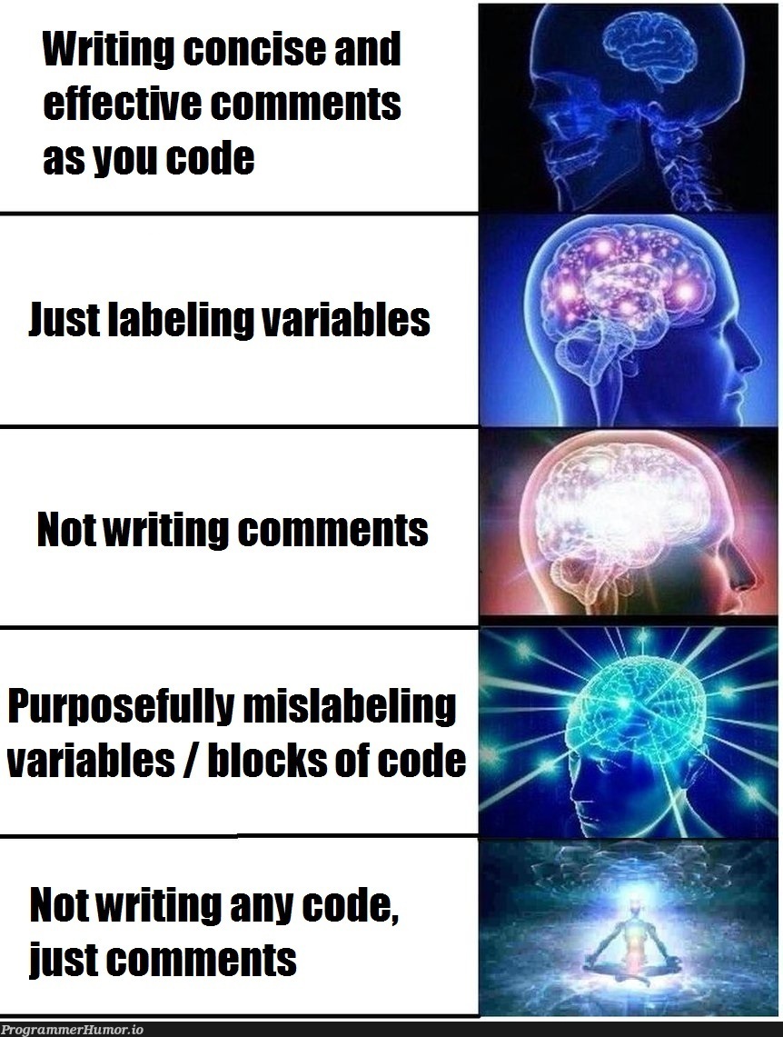 Commenting your code | code-memes, variables-memes, loc-memes, lock-memes, comment-memes | ProgrammerHumor.io