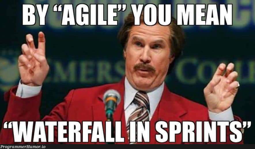 Companies getting Agile wrong since 2001 | ProgrammerHumor.io