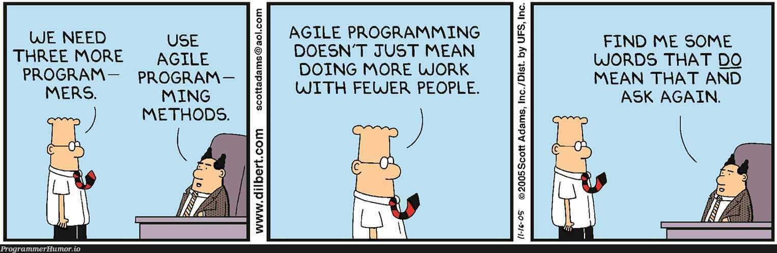 Agile | programming-memes, program-memes, rds-memes | ProgrammerHumor.io