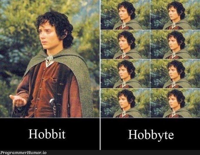 Hobbyte | ProgrammerHumor.io