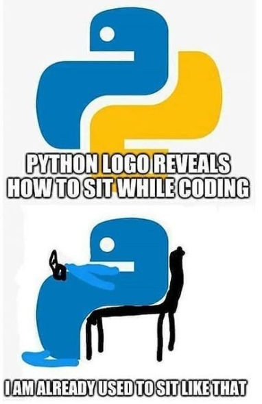 Python logo | python-memes | ProgrammerHumor.io