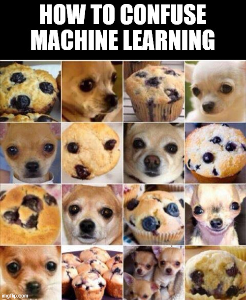 Muffin Dog | machine learning-memes, machine-memes, mac-memes | ProgrammerHumor.io