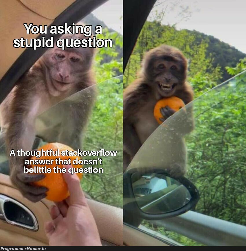 It's ok to ask a stupid question | stack-memes | ProgrammerHumor.io