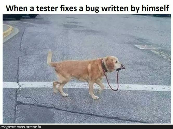 No caption needed..... | test-memes, bug-memes, fix-memes | ProgrammerHumor.io