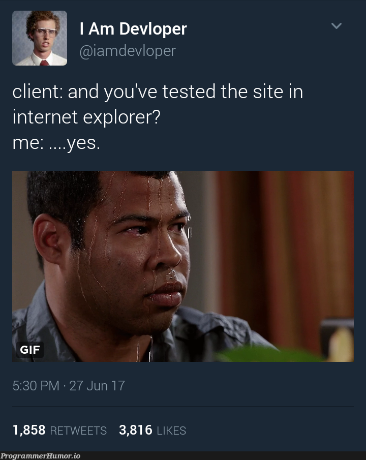 you have tested the site in IE? | test-memes, internet explorer-memes, cli-memes, internet-memes, tested-memes, retweet-memes | ProgrammerHumor.io