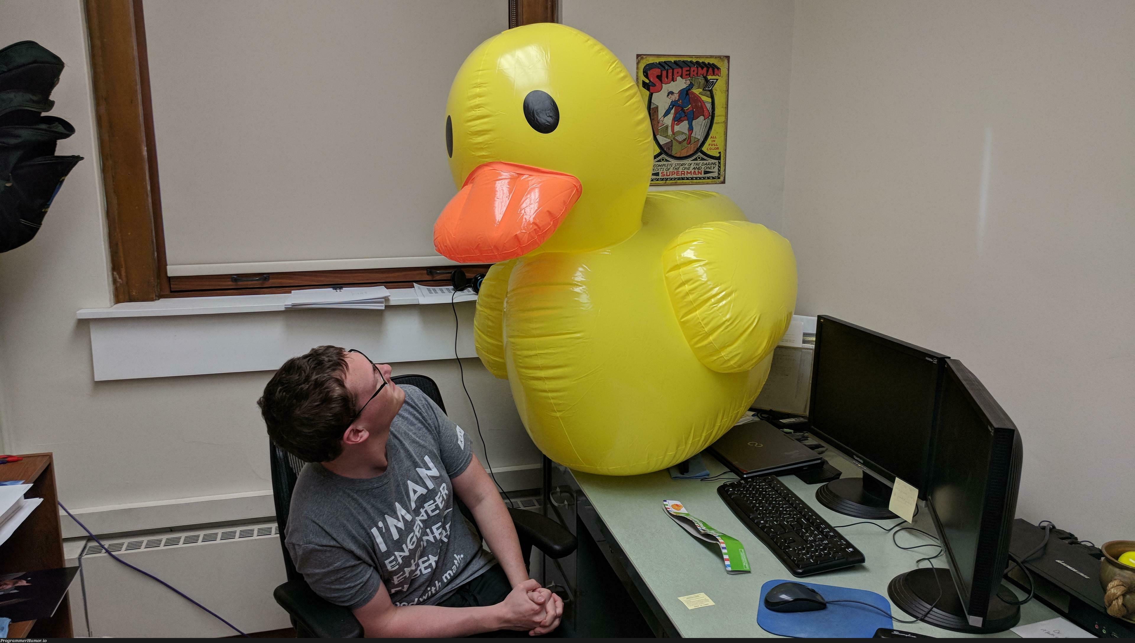 One of my profs gave us all (30 people) rubber ducks because he was tired of the "Oh nvm, I figured it out" emails. We returned the favor. | email-memes, IT-memes, vm-memes | ProgrammerHumor.io