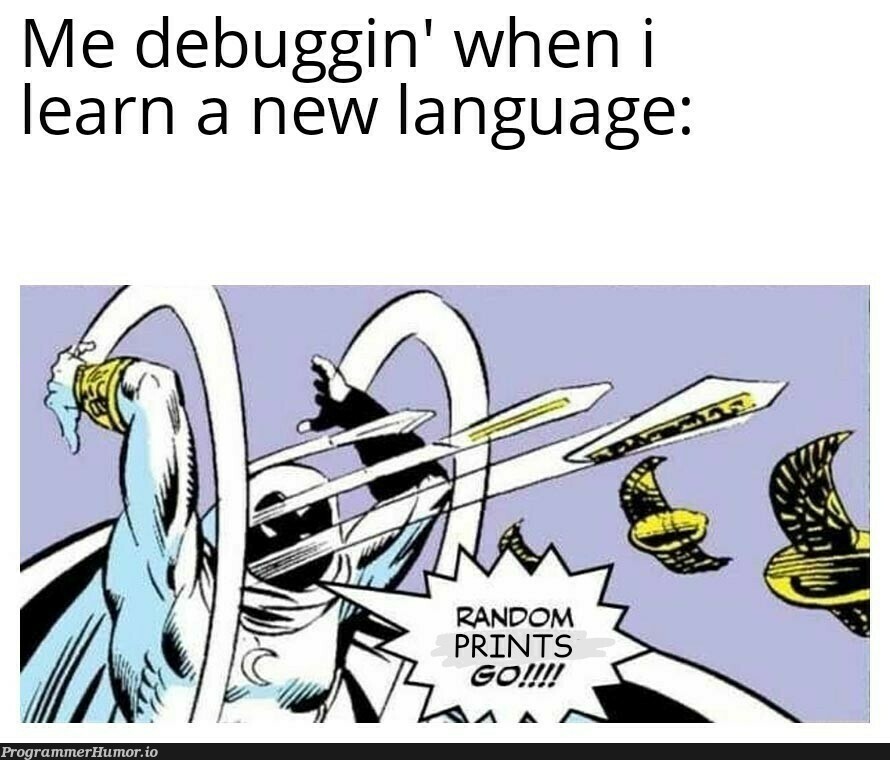 Maybe I should learn to debug | bug-memes, debug-memes, language-memes | ProgrammerHumor.io