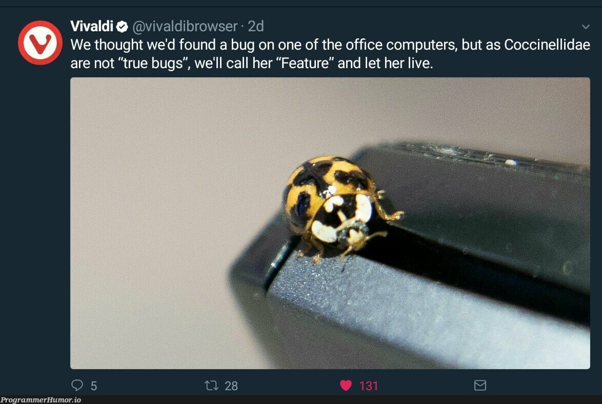 It's not a bug, it's a feature | computer-memes, bugs-memes, bug-memes, feature-memes | ProgrammerHumor.io