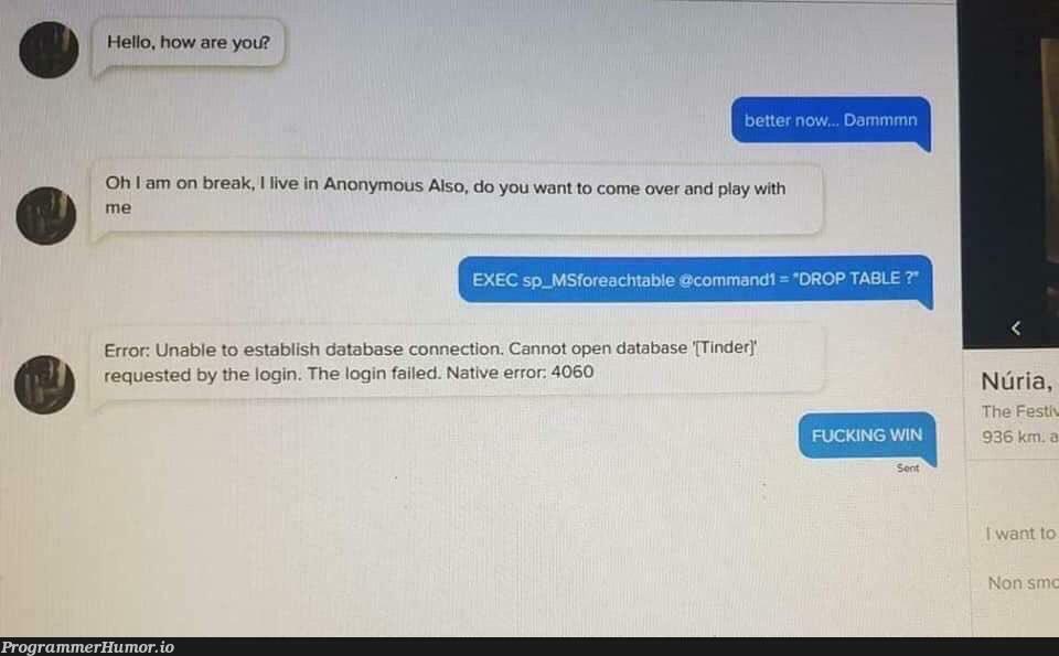 Guy had a bot messing with him on Tinder.. ouch. lol | tinder-memes, command-memes, data-memes, database-memes, error-memes, bot-memes | ProgrammerHumor.io