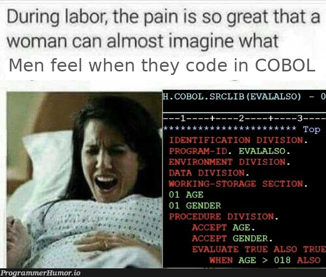 Coding in COBOL | coding-memes, code-memes, cli-memes | ProgrammerHumor.io