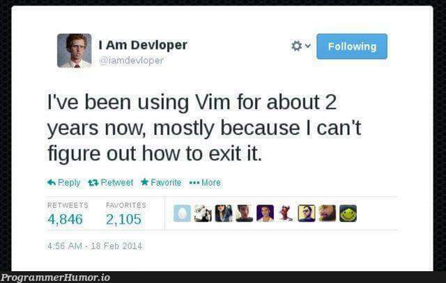 Always worth the investment in the learning curve | vim-memes | ProgrammerHumor.io