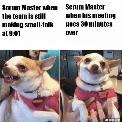 Our Scrum Master is a slippery one | ProgrammerHumor.io