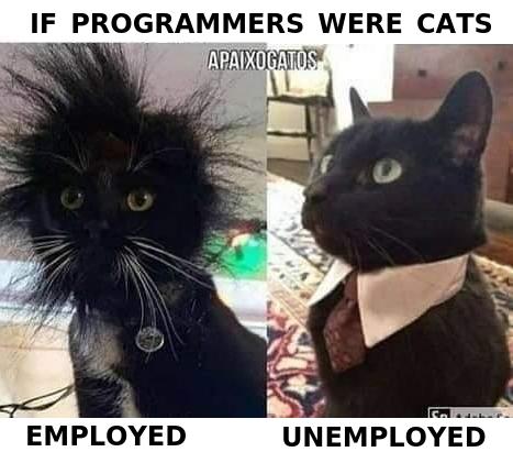 It doesn't mean that we don't care | programmer-memes, program-memes, IT-memes | ProgrammerHumor.io