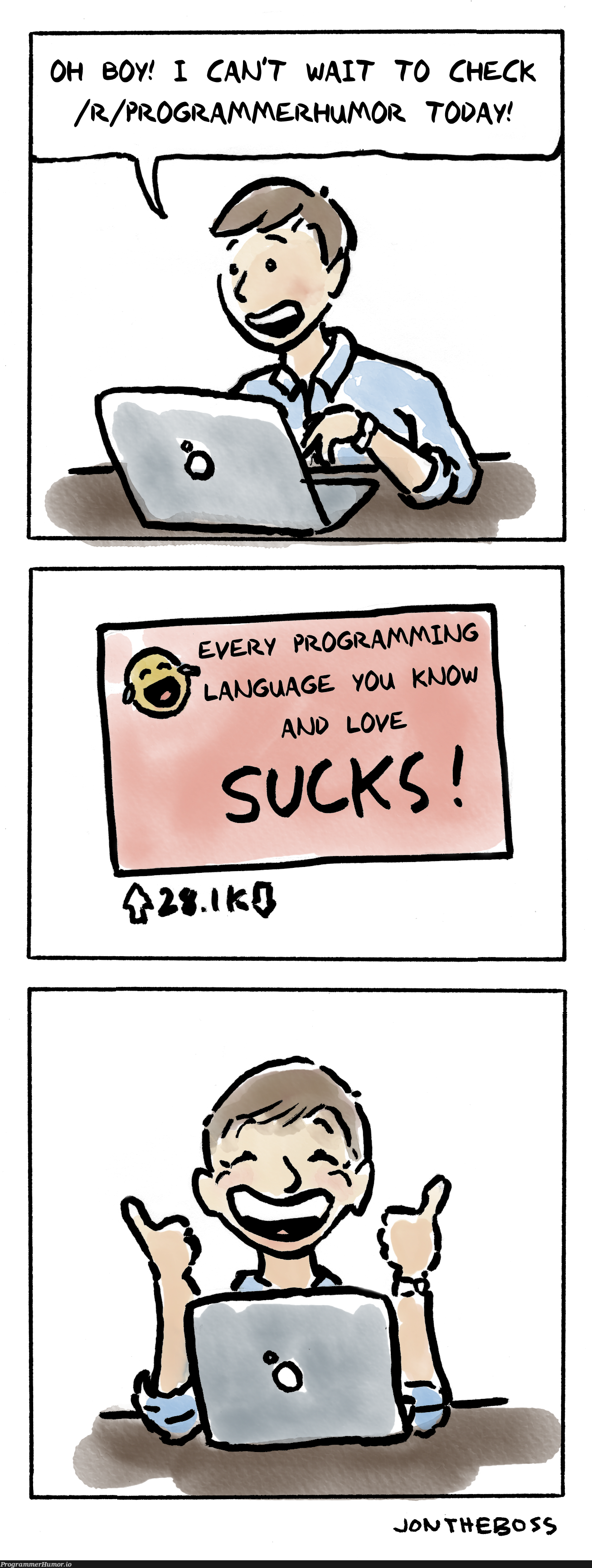 This sub in a nutshell | programmer-memes, program-memes, shell-memes, language-memes | ProgrammerHumor.io