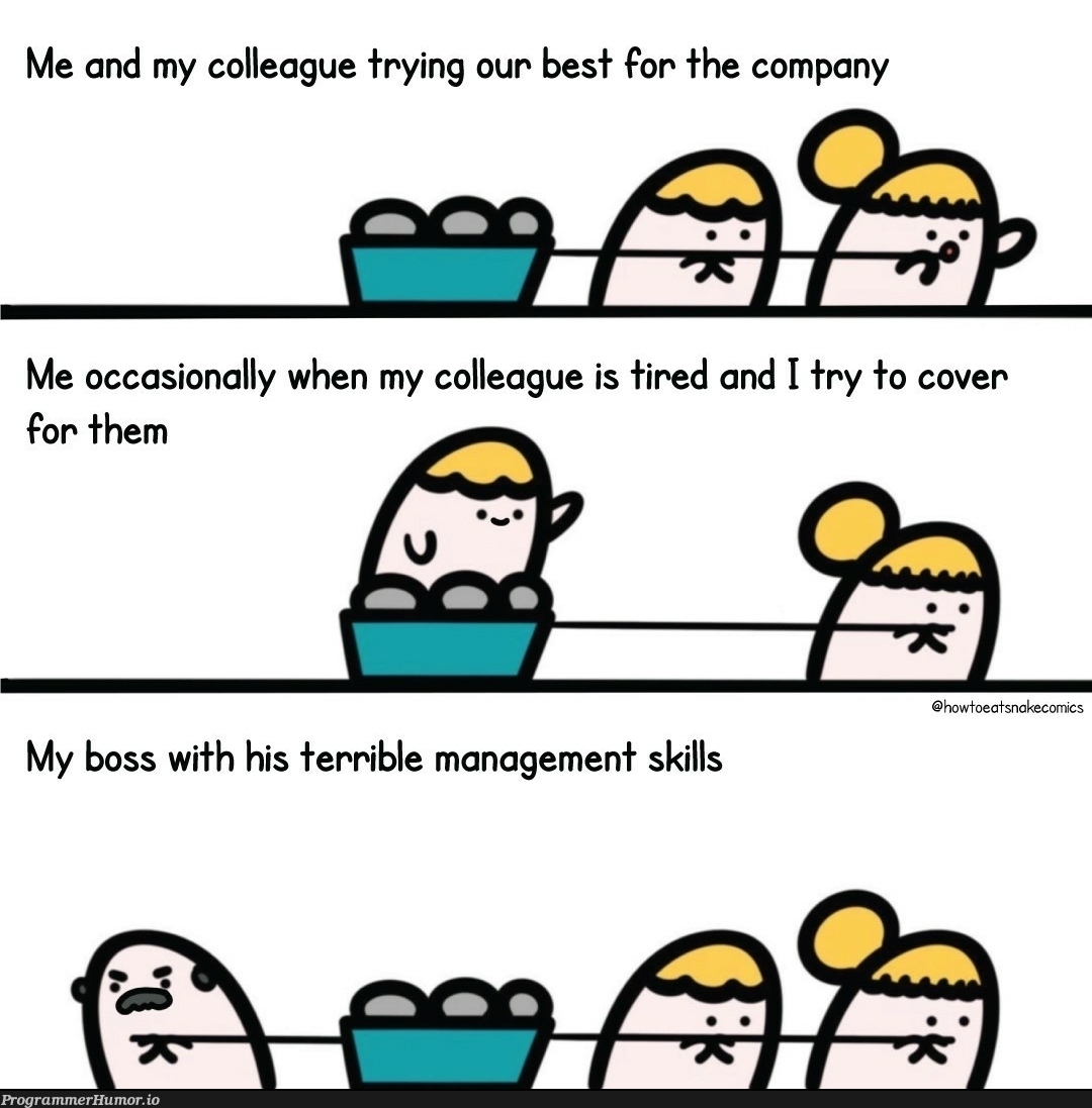 Devs vs Management | management-memes, try-memes, devs-memes, cs-memes | ProgrammerHumor.io