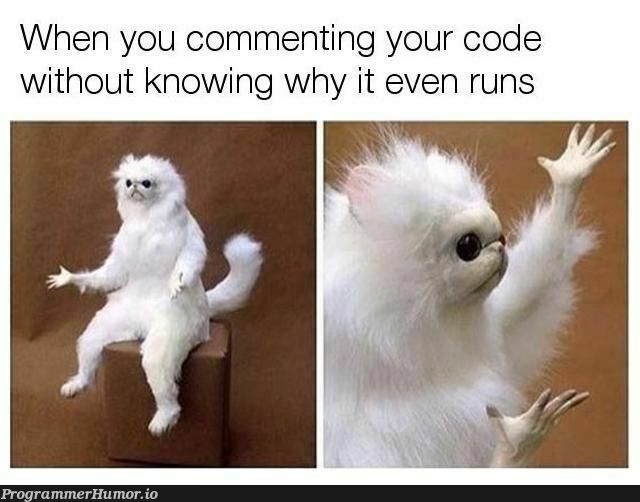 Every day, the same struggle | code-memes, IT-memes, comment-memes | ProgrammerHumor.io