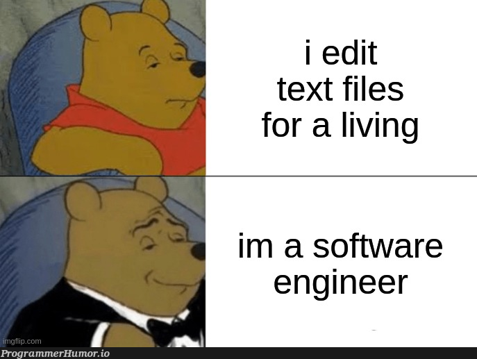 It's a living | software-memes, engineer-memes, software engineer-memes | ProgrammerHumor.io