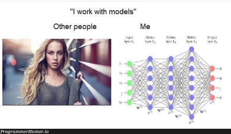 I work with models | ProgrammerHumor.io