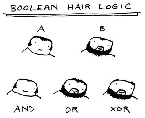 Boolean Hair Logic | ProgrammerHumor.io