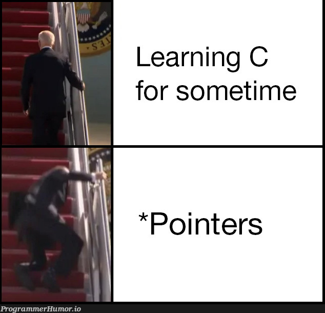 Flashbacks of Introduction to programming! | programming-memes, program-memes, pointers-memes, c-memes | ProgrammerHumor.io