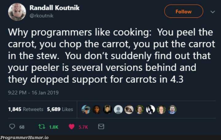 The carrot is a stupid question | programmer-memes, program-memes, version-memes | ProgrammerHumor.io