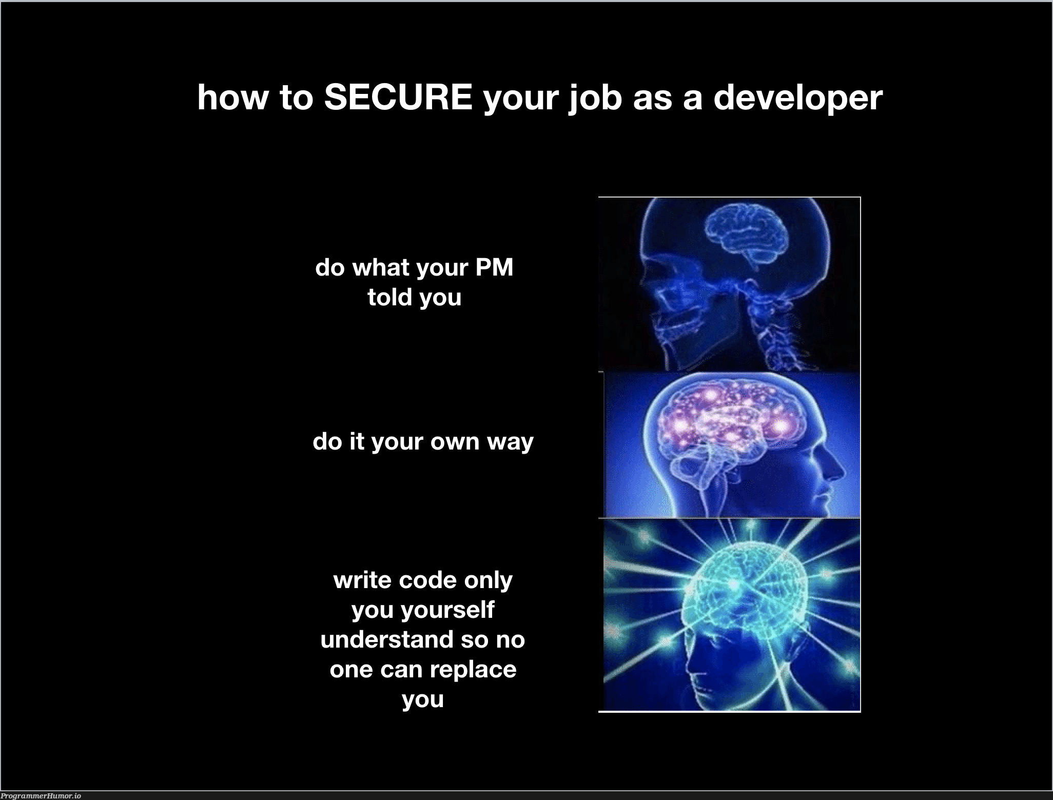 How to secure your job as a developer. | developer-memes, code-memes, IT-memes | ProgrammerHumor.io