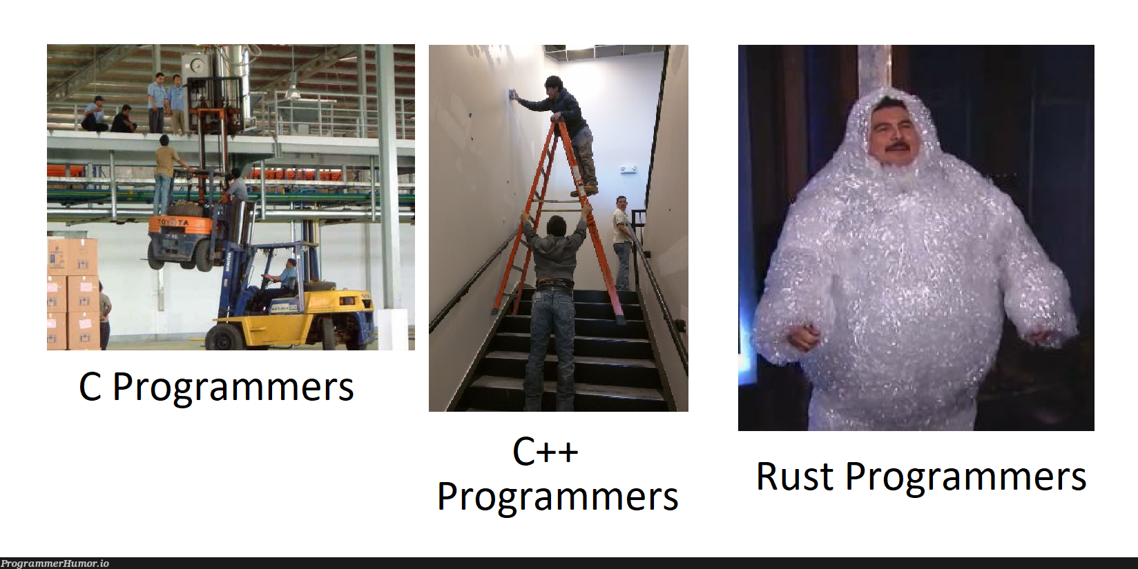 Rare sightings of what different programmers do in real life | programmer-memes, program-memes, rust-memes | ProgrammerHumor.io