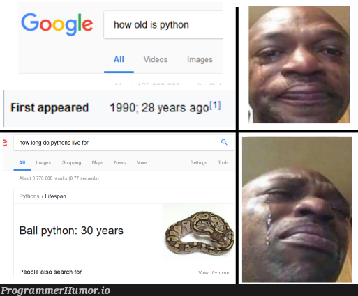 how old is pseudocode | code-memes, python-memes, Pseudocode-memes | ProgrammerHumor.io