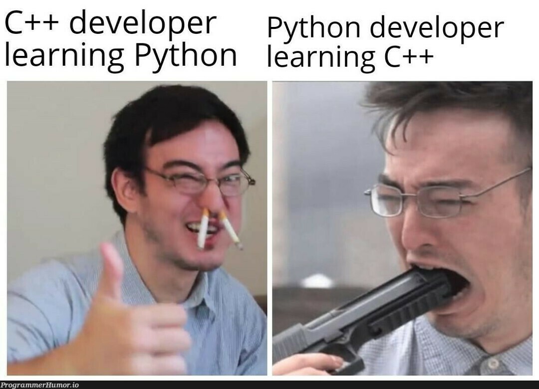 What happens when C++ Developer is learning Python and Python Developer is learning C++ | developer-memes, python-memes, c++-memes | ProgrammerHumor.io