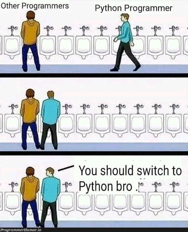 Python programmer | programmer-memes, python-memes, program-memes | ProgrammerHumor.io