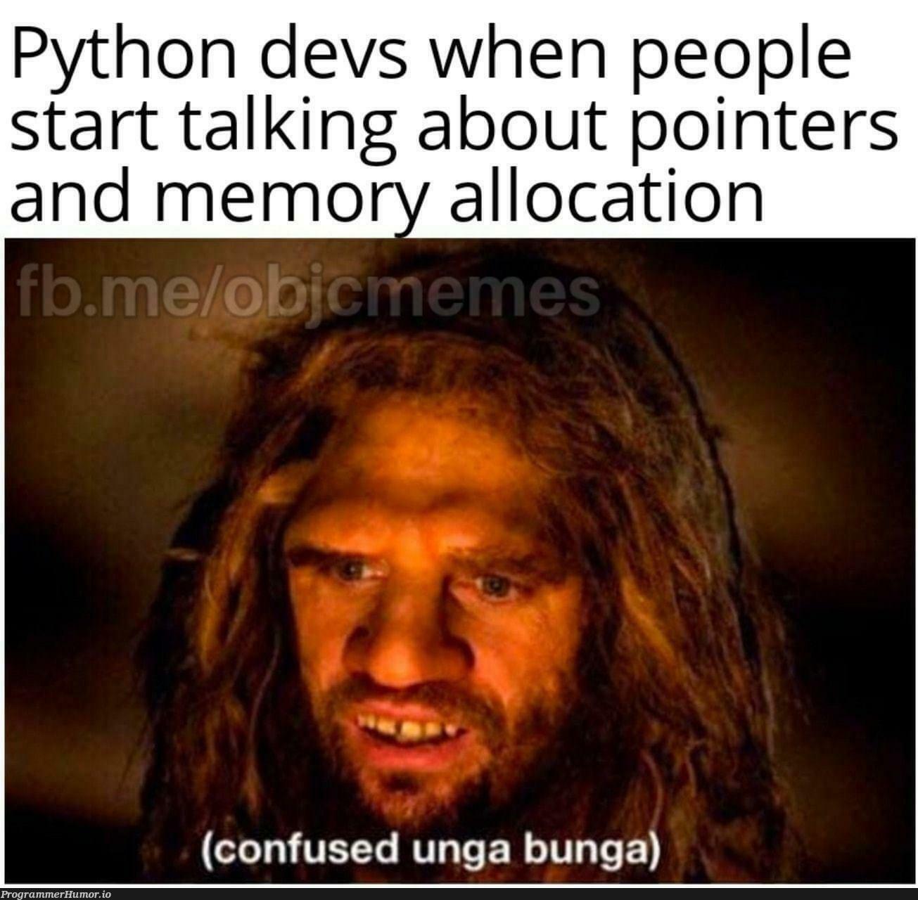 WuT iS a PoInTeR BrO | python-memes, loc-memes, devs-memes, pointers-memes | ProgrammerHumor.io