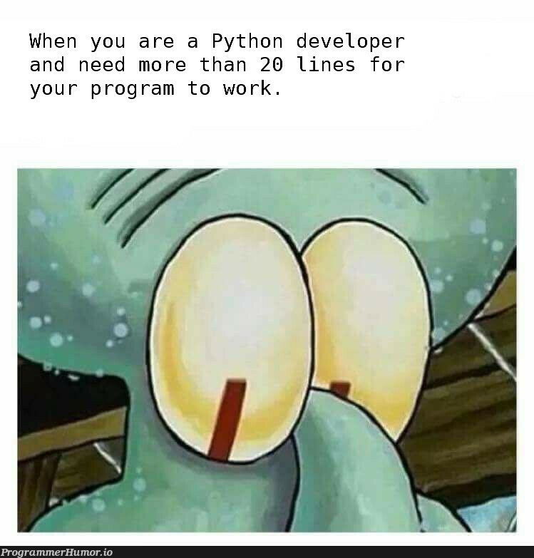 Time to question my Python skills | developer-memes, python-memes, program-memes | ProgrammerHumor.io