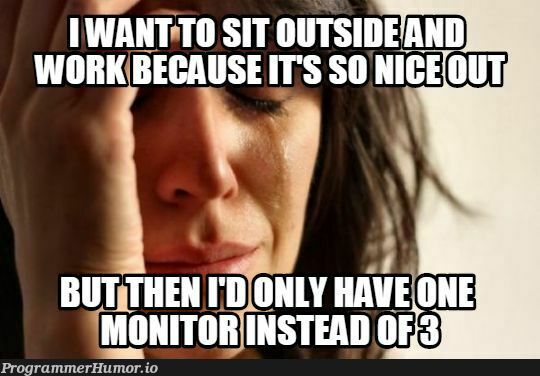 First world programmer problems when you work from home. | programmer-memes, program-memes, ML-memes | ProgrammerHumor.io