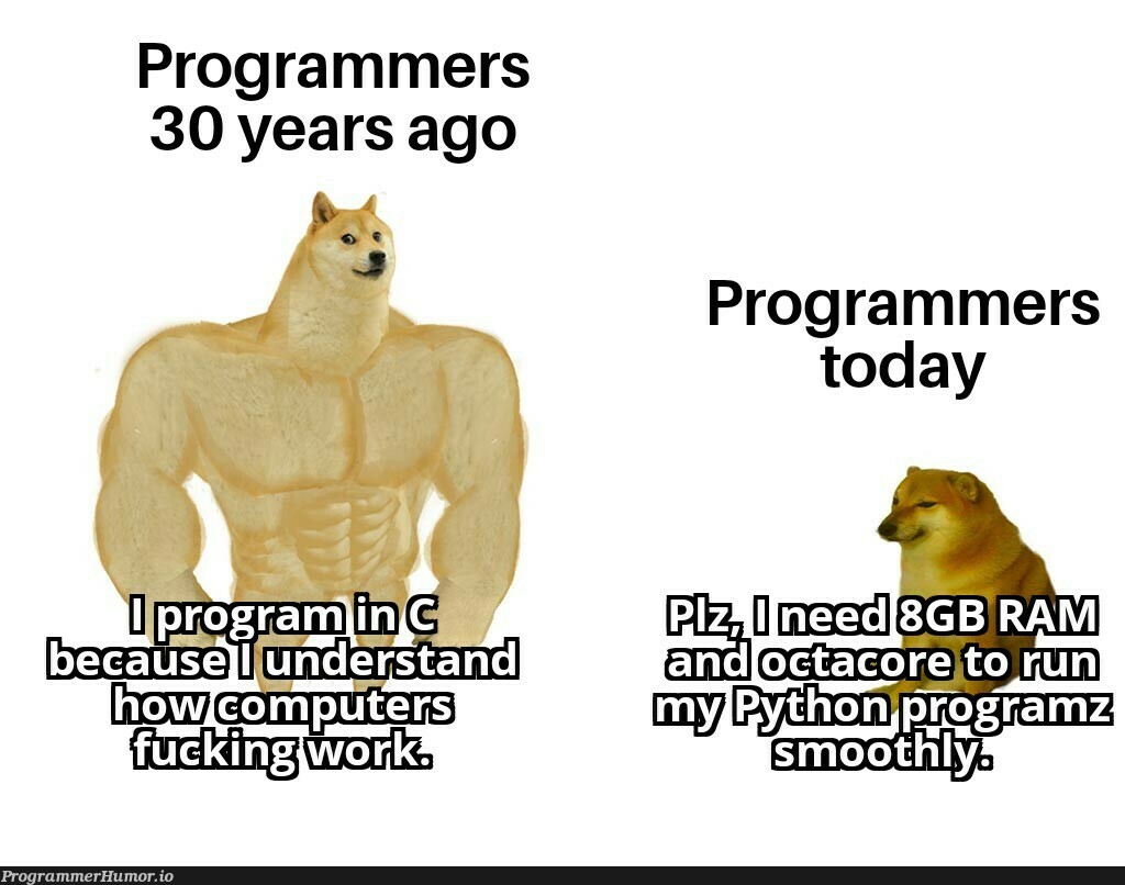 I program in both languages though! | programmer-memes, program-memes, bot-memes, ML-memes, language-memes | ProgrammerHumor.io